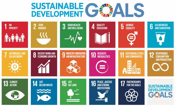 Sustainable development goals